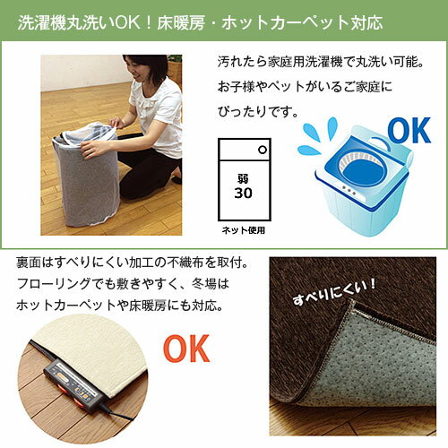 サンプル画像3