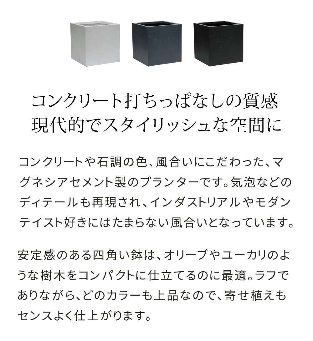 ★限定クーポン＆P3倍★プランター キューブ型 立方体 正方形 植木鉢 深型 ボックス シンプル おしゃれ 角型40cm 大型 寄せ植え プランターカバー ガーデン ガーデニング 花壇 プランターラック ハンギング 園芸 ガーデンファニチャー 家庭菜園 水抜き穴 北欧 ナチュラル 庭 singlelife-10025686 ザッカグマート 家具と雑貨 サンプル画像2