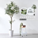 ★ポイント5倍★フェイクグリーン 大型 玄関 オリーブ オリーブの木 150cm 鉢植え おしゃれ 新築祝い スリム 人工観葉植物 観葉植物 フェイク インテリ...