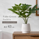 ★店内全商品ポイントアップ中★インテリアグリーン パキラ 高さ43cm ナチュラル ナチュラルインテリア フェイクグリーン 観葉植物 人工観葉植物 ミニ フェイ...