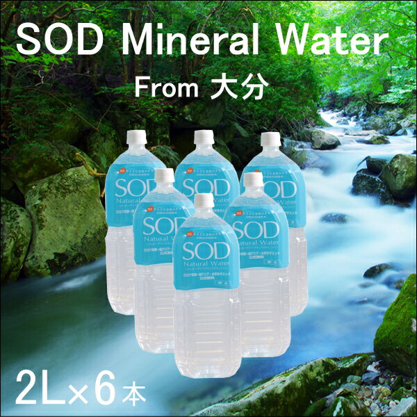 ꡼ SOD ʥߥͥ륦 2L6 