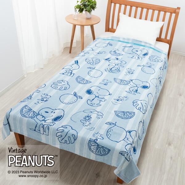 ̡ԡ 륱å 󥰥륵 140190cm PN3600BD  100 ̵ 󥰥