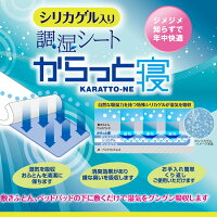 2枚まとめて更にお得!からっと寝除湿シートシングル用2枚セット