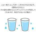 2枚まとめて更にお得！西川 ニューからっと寝 シングル用2枚セット 布団除湿シート シングル 約770ccの吸湿力 シリカゲル 湿気 カビ対策 2