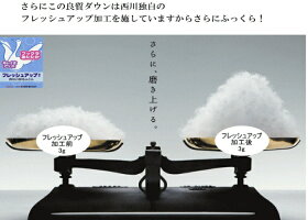 東京西川羽毛布団シングルフランス産シルバーダウン93%サンダーソン