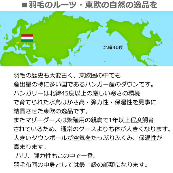 西川 羽毛布団 シングル ハンガリー産マザーグース93% 1,1kg あったか2層キルト フレッシュアップ加工 [3]