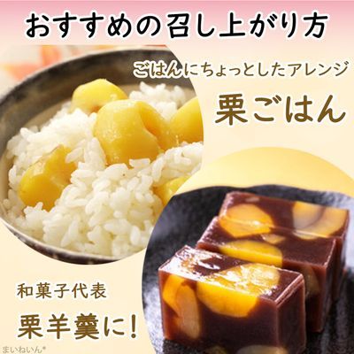 【永井屋麹店】会津の糀 500g×1