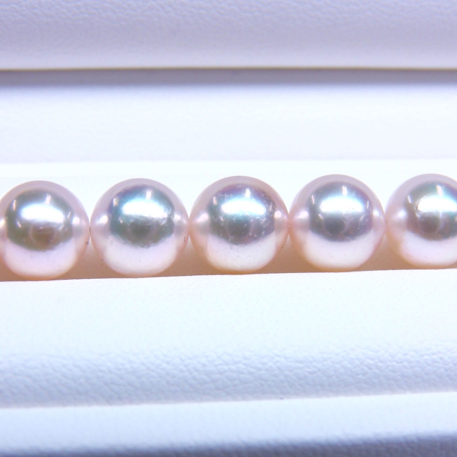 《真珠大卸からの直販》■テリ評価90点・理想的な白色高級真珠の品質バランス■越物花珠真珠ネックレス[純白ホワイト系グリーンピンク]7.5-8mm【送料無料】