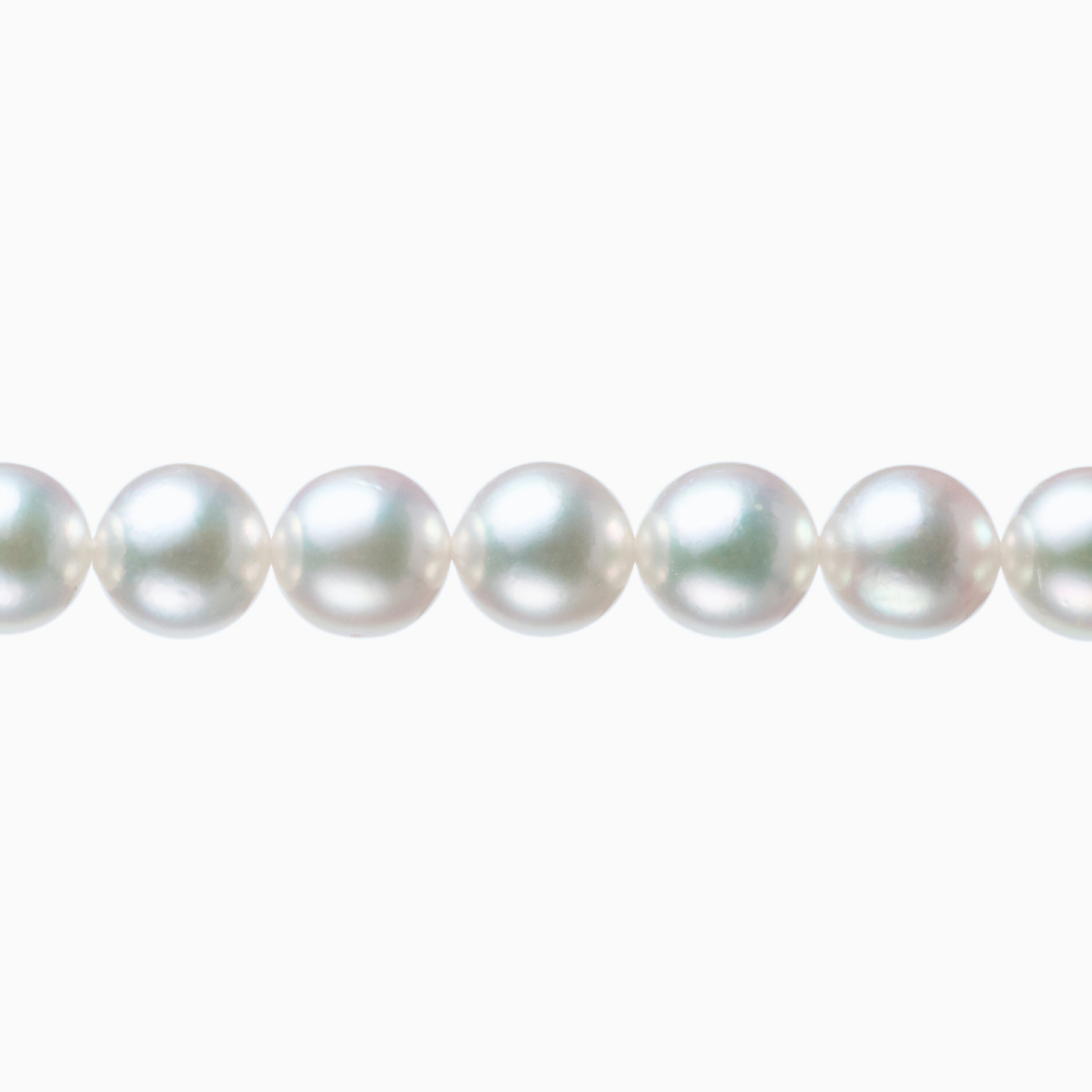 �Կ����粷�����ľ�Ρբ��ƥ�ɾ��95����ȩ�����⤭Ω�ĥ��꡼��١������Ŀ�����ĥƥ�Ƚ��餫�ʥۥ磻�ȿ�����ʪ�������ܿ���ͥå��쥹[�ۥ磻�ȷϥ��꡼��ԥ�] 8.5-9mm������̵����