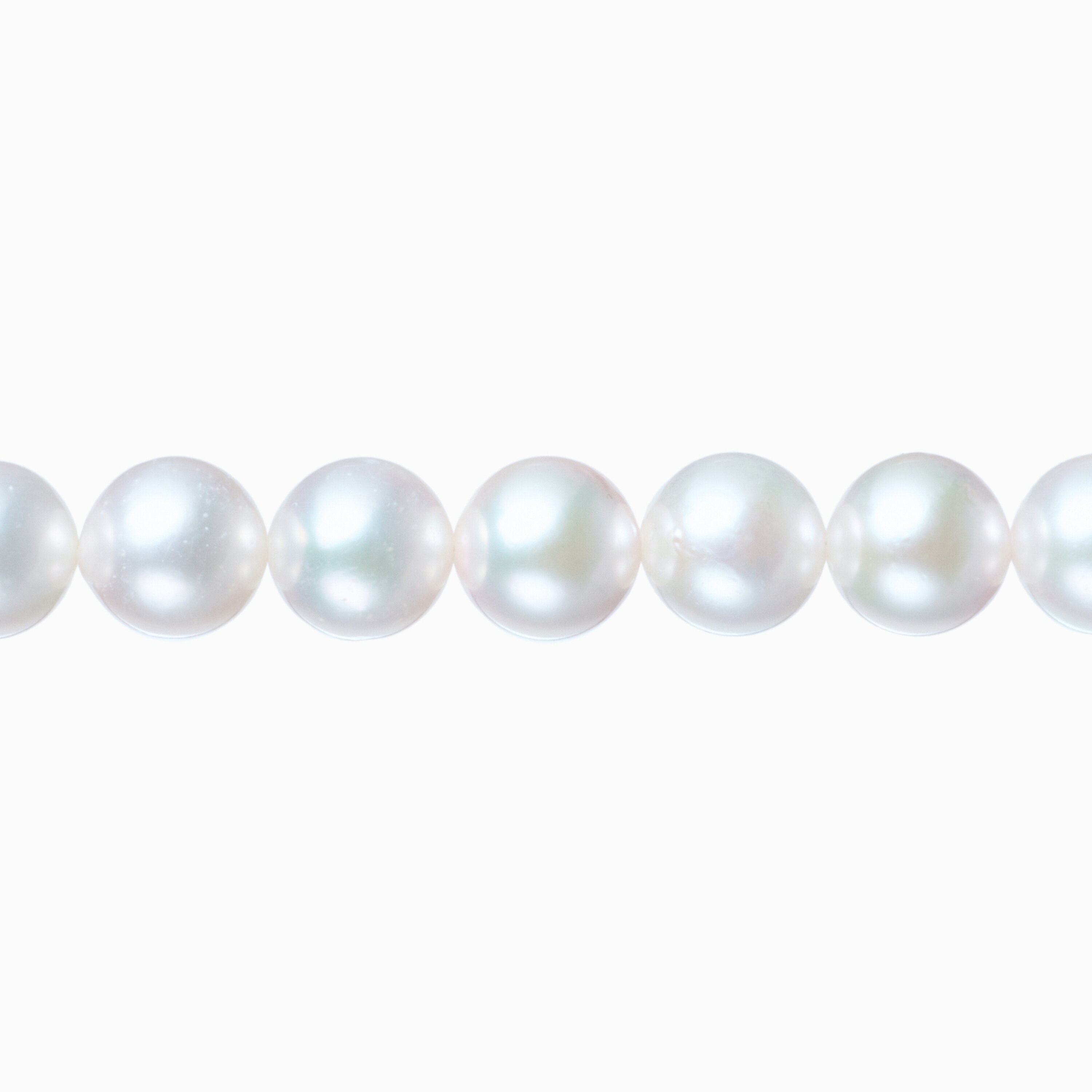 Rakuten - 《真珠大卸からの直販》■テリ評価90点・凛とした白色が、肌の上で静かに輝く■越物アコヤ本真珠ネックレス[ホワイト系グリーンピンク] 7.5-8.0mm【送料無料】