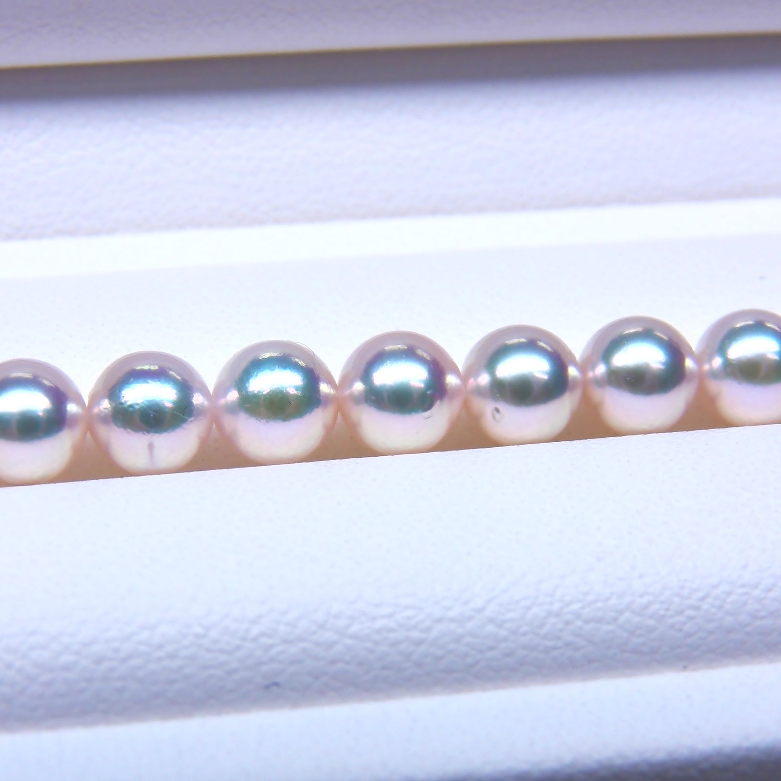 希少美品❗️あこや真珠5連ベビーパールネックレス 花型留め具