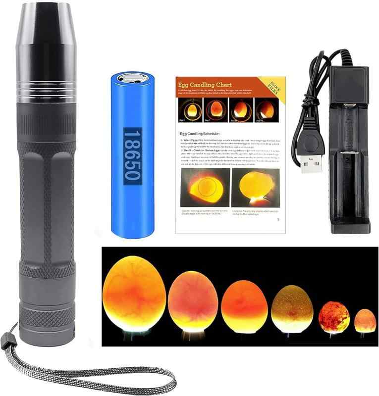 sinkouecomart㤨ziyue  饤  饤 ۲ 񵡲 ޤ  ҥ  祦 Ļ  ͭ ۲  (BlackפβǤʤ3,116ߤˤʤޤ