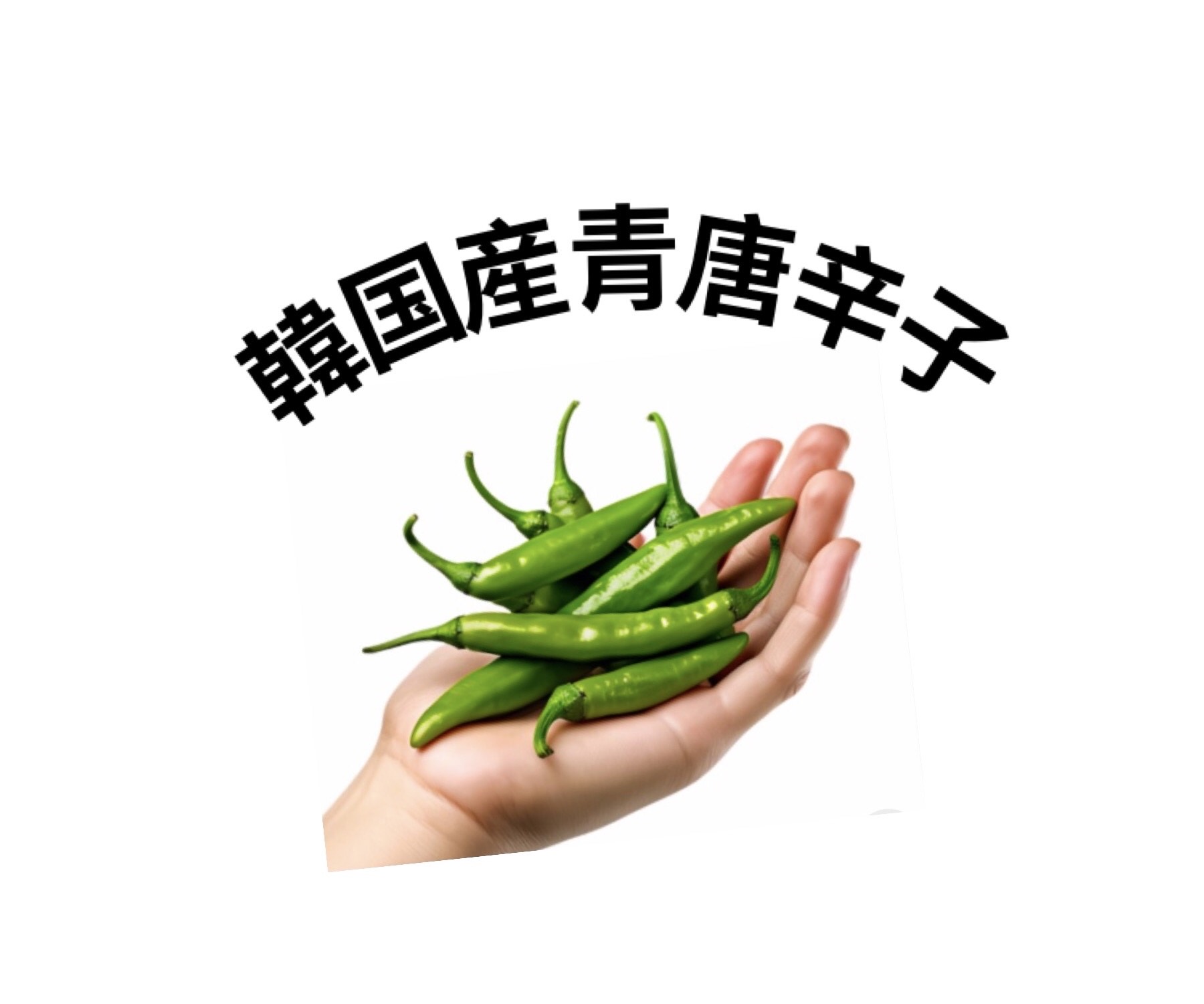 【常温】青唐辛子　約1kg　＜韓国食品・韓国食材＞