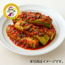 カンシネ 自家製 オイキムチ 500g 韓国キムチ きゅうりキムチ 韓国食品 韓国料理 おかず 冷蔵発送 手作りキムチ 本場【カンシネ食品】