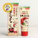 ヘチャンドル コチュジャン(チューブ) 60g 韓国調味料 携帯用 韓国唐辛子味噌 韓国食品 お弁当 キャンプ 旅行 チューブタイプ【カンシネ食品】