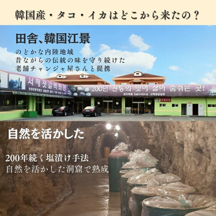 ���٤�ڹ����3�糧�å� ��200g�ʥ���������������󥸥㡿����󥸥����ܻ��ˢ�3������ڥ��󥷥Ϳ��ʡ�