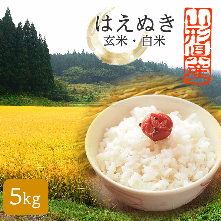 特別栽培米 5キロ はえぬき 白米 5kg 玄米・精米・七分米 山形県産 お米 山形 新米 令和5年産 分づき米 7分づき 米