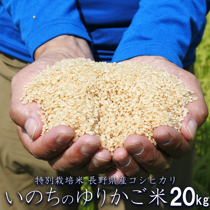 玄米 20kg 特別栽培米 長野県産 コシヒカリ いのちのゆりかご米 送料無料【信州伊那谷 あきづ農園】