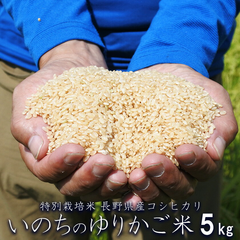 玄米 特別栽培米 5kg 長野県産 コシヒカリ いのちのゆりかご米 送料無料【信州伊那谷 あきづ農園】