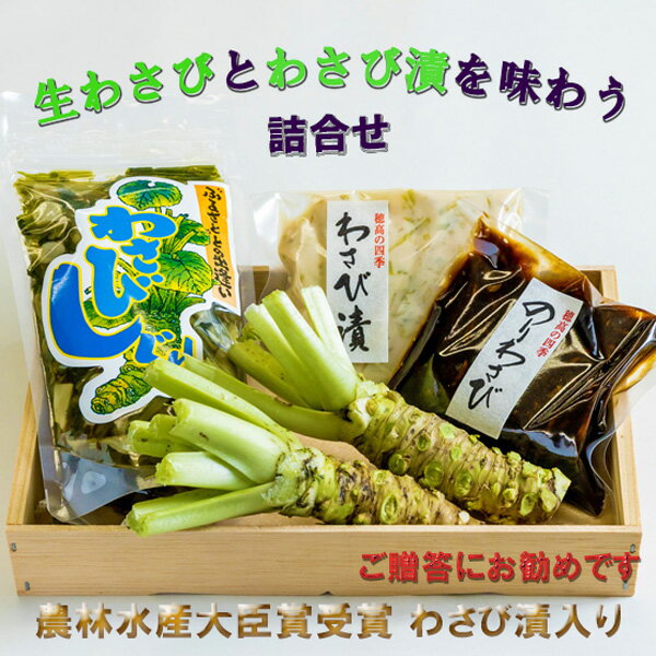 信州安曇野「生わさび詰合せ」(W-30) お中元 お歳暮 ギフト　母の日　父の日