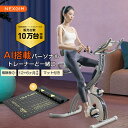 フィットネスバイク ミニ 連続使用 スピンバイク NEXGIM X05 エアロ バイク 折りたたみ 家庭用 コンパクト アプリ連動 マグネット 負荷式 16段階調整 エアロ バイク 静音 ジム エクササイズバイク 自宅 室内バイク Zwift対応