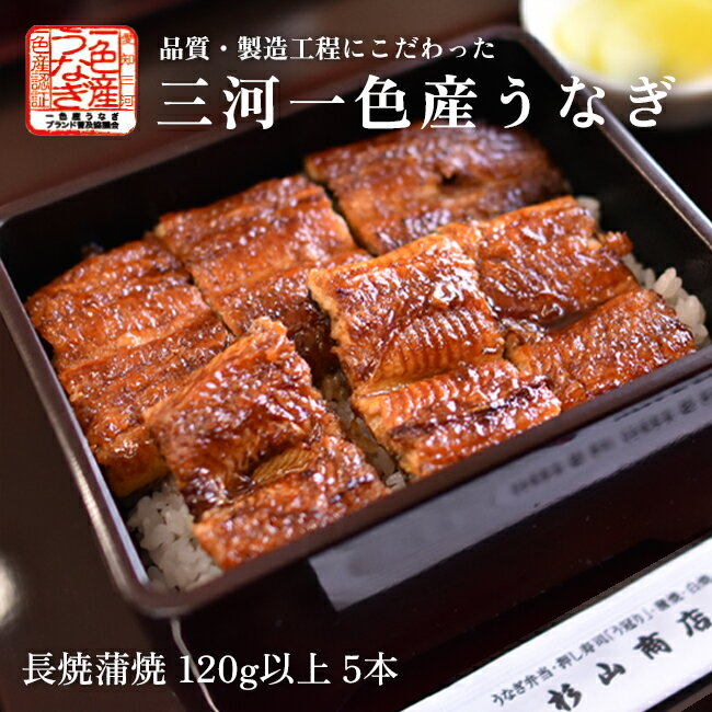 国産　愛知三河一色産うなぎ　長焼蒲焼　120g以上 5本『うなぎ』【送料無料】【冷凍便配送】【国産鰻】【国内産】【…