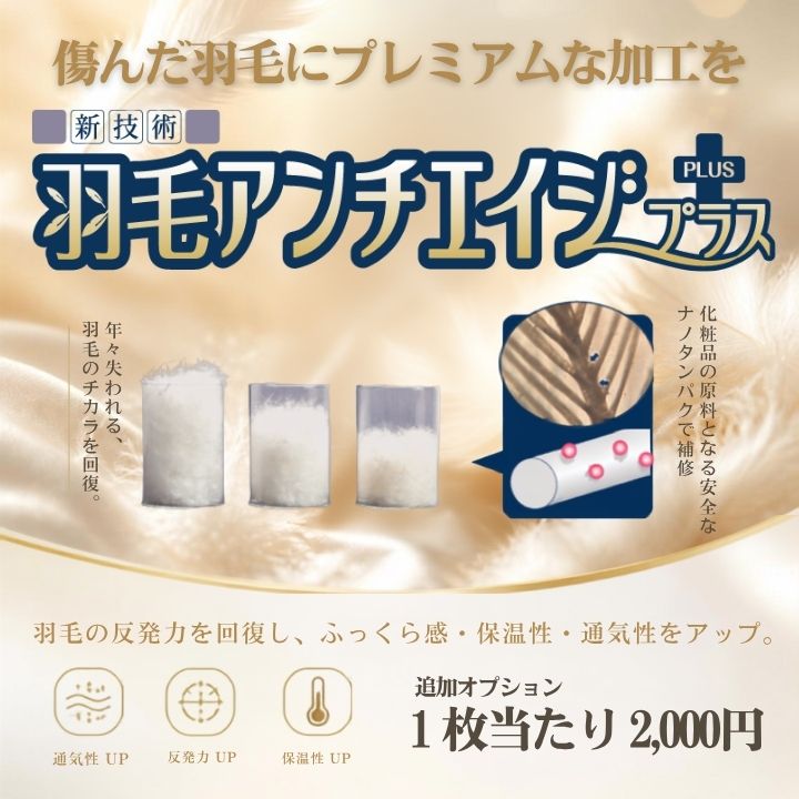 布団クリーニング羽毛のダウンパワーを回復させる加工 羽毛 トリートメント 布団クリーニング ふとん丸洗い 羽毛布団クリーニング 羽毛