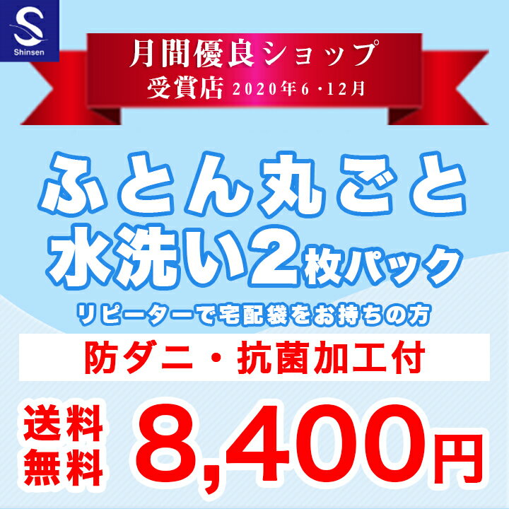 布団クリーニング/リピーター割引【丸洗い2枚パック】防ダニ抗菌加工付　※宅配袋をお持ちの方用注文