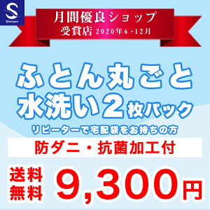 布団クリーニング/リピーター割引【丸洗い2枚パック】防ダニ抗菌加工付　※宅配袋をお持ちの方用注文