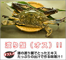 カニ今から旬！超新鮮！メスには負けない！獲れたての活き締めワタリガニ(オス)1尾(約400g)