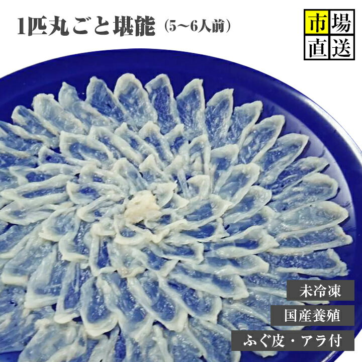 ふぐ刺し2匹まるごと 河豚 フグ ギフト プレゼント 未冷凍 生のまま