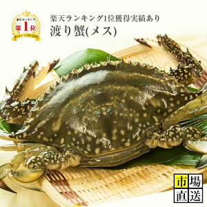 カニ！超新鮮！獲れたての活き締めワタリガニ(メス)特大1尾(約450g)びっくりするほど大きいサイズ！