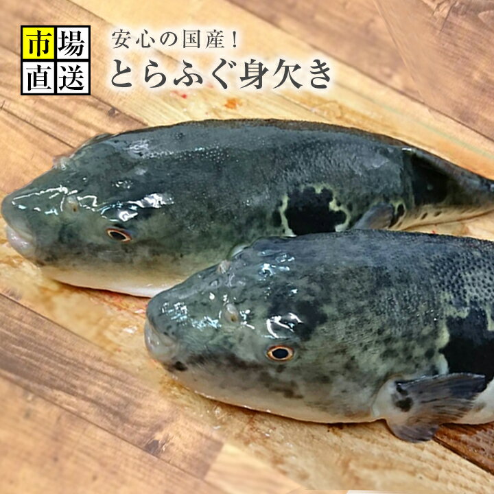 ふぐ刺し 2人前 ちり付 河豚ふぐ とらふぐ 刺身 ふぐちり セットフグ 冷蔵 ふぐセットふぐ刺身 ふぐ鍋 セット 魚 海鮮 とらふぐ鍋 セットさしみ 海鮮ギフト てっさ てっちりふぐ刺し セット ふぐちり 父の日ギフト