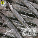 サヨリ・さより約1Kg入り(約20〜30入り)新鮮!!瀬戸内海...