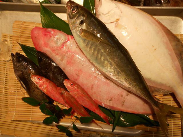 鮮魚詰め合わせ・セット・パック　5，000円(山口県産)