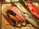 送料無料！鮮魚詰め合わせセット・パック10，800円（山口県産）