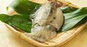 甲イカ 紋甲イカ(1入り)山口県産 - 新鮮魚宇丸