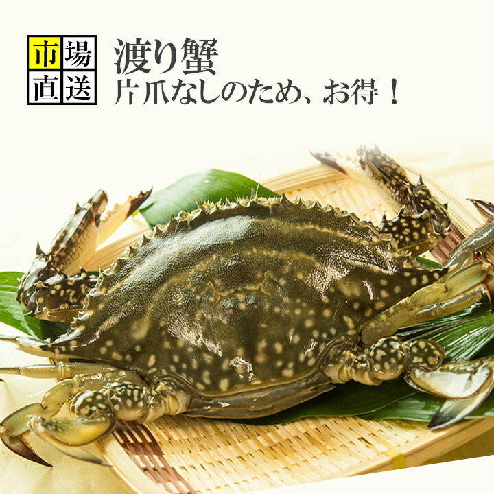 獲れたて活き締めワタリガニ(メス)【訳あり商品】片爪なし約2.4kg(200g〜400gサイズが6〜12尾入り)片爪なし、訳あり商品のためお得価格!まとめ買い!...