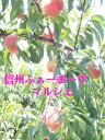【訳あり】【御中元、ギフト】に甘い【桃】タマキ、川中島白鳳・川中島白桃・伊達白桃トロける甘さの家庭用約5キロ