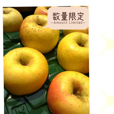 贈答用【りんご】【送料無料】【お歳暮ギフト】特選品《シナノスイート》《シナノゴールド》《あいかの香り》《サンふじ》等、5キロ