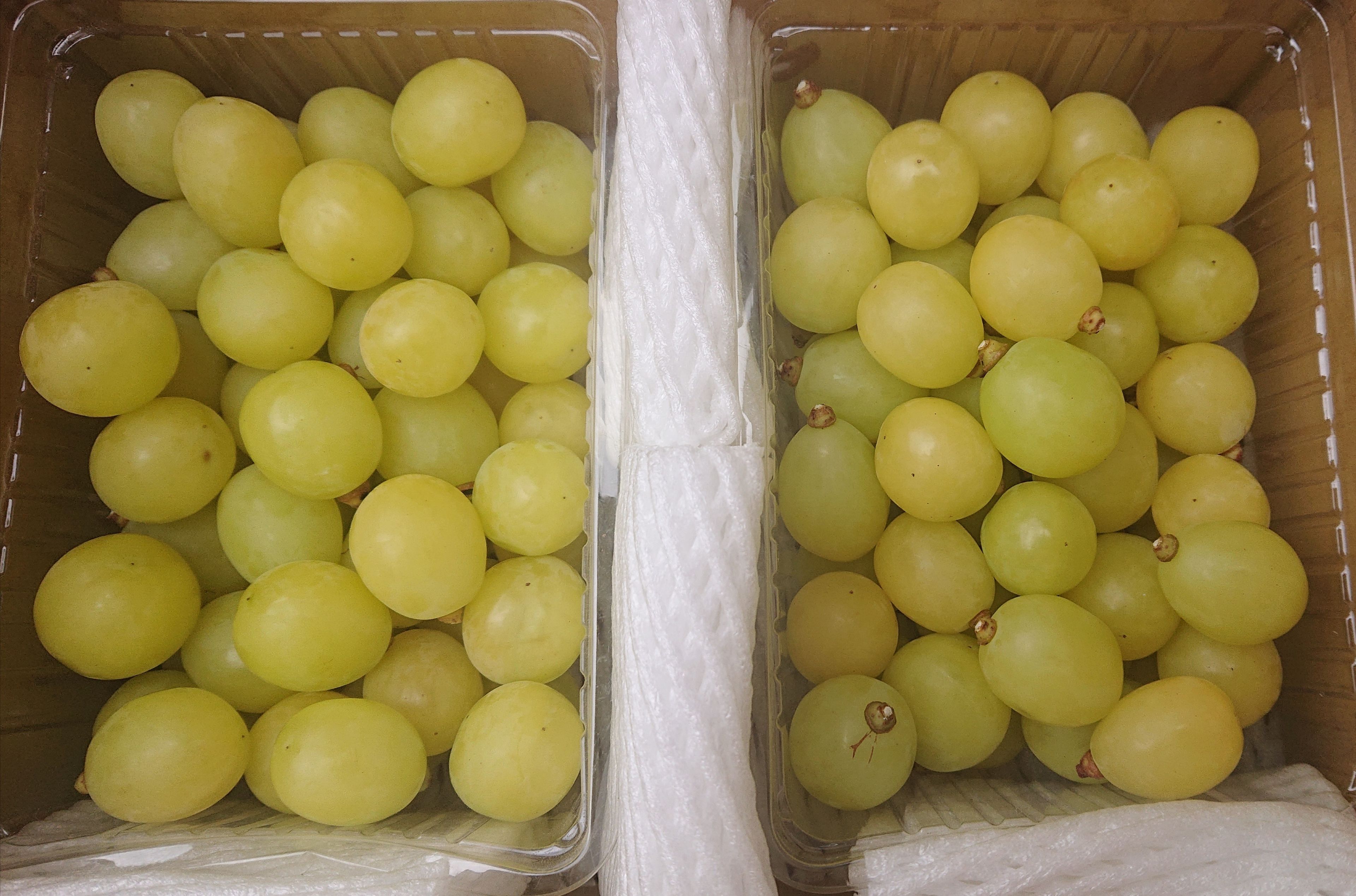 【送料無料】《数量限定》【超激安】《シャインマスカット》500g×4パック計2キロ