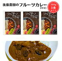 【オープン記念・送料無料】後藤農園のフルーツカレー【中辛】200g 3食セット レトルトカレー 長野県須坂市産 農家のカレー ご当地カレー ぶどう入りカレー オリジナルカレー
