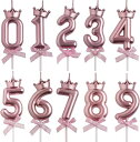 Selinear バースデーキャンドル ナンバーキャンドル 数字 キャンドル ロウソク 数字 0-9 10点セット 高級 ろうそく 誕生日 ろうそく おしゃれィ...