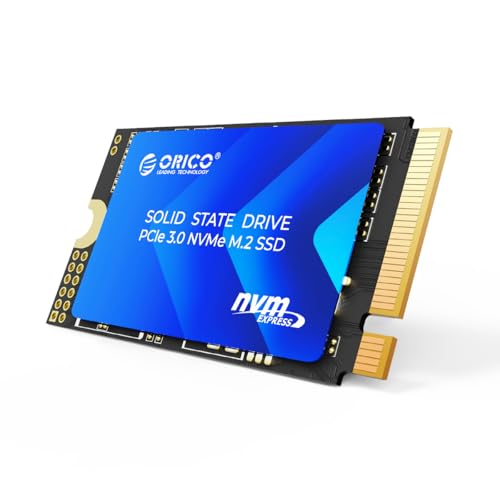 ޡŷԾŹ㤨ORICO SSD 1TB M.2 2242 NVMe ¢ SSD 3D TLC NAND PCIe Gen34 ɹ3100MB/s (R:3100MB/sW:2500MB/s ѵ ᡼ 3ǯݾ J10-2242פβǤʤ15,050ߤˤʤޤ