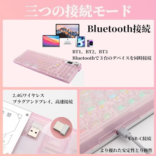Synthesizer V 2 AI Riku ダウンロード版　／　販売元：株式会社AHS