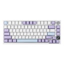 EPOMAKER Ajazz AK820 Pro ゲーミングキーボード 75% ガスケット搭載 メカニカルキーボード TFTスクリーン 3モード(Bluetooth 5.1/2.4Gワイヤレス&Type-C有線) 消音フォーム搭載