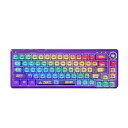 OUSEITECH F68 透明キーボード ゲーミングキーボード 透明 メカニカル ゲーミング キーボード ホットスワップメカニカルキーボード テンキーレスキーボード ワイヤレス 透明キーキャップ RGBバックライト 68キー Android/OS/Mac/Windows対応