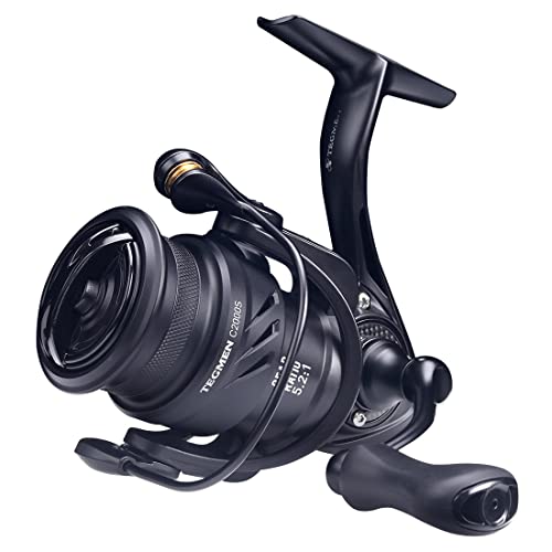 KINGDOM ꥹԥ˥󥰥꡼ Ķ ԥ˥󥰥꡼ ܥ  ø   5.2:1 15lb 10+1BB 2500 ⤤®   Х