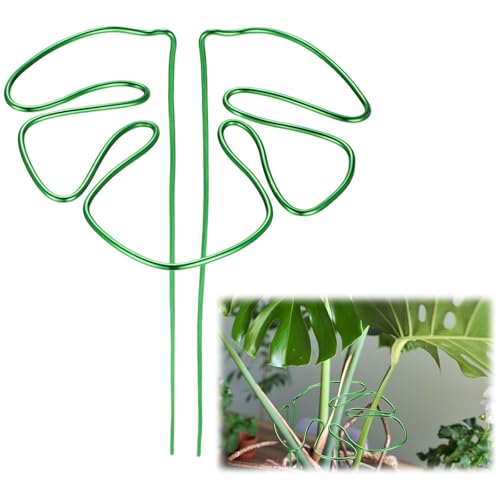 園芸支柱 モンステラ 15×28cm 観葉植物 植物サポート 植物茎トレーナー 花支架 ガーデニング支柱 自由..
