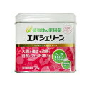 【第2類医薬品】エバースジャパンエバシェリーン 75g 3缶+